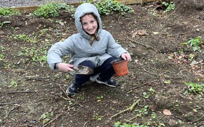 Ms Ffrench’s 4th Class